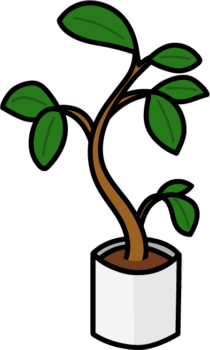 観葉植物（ゴムの木）のイラスト