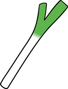 長ネギ（白ネギ）のイラスト