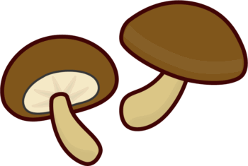 椎茸のイラスト