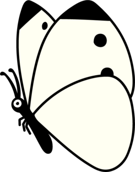 ちょうちょ（モンシロチョウ）のイラスト