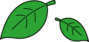 葉っぱのイラスト