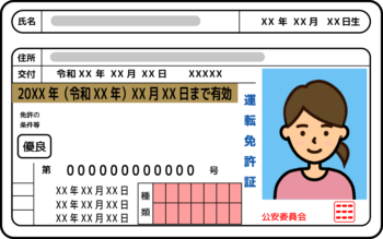 運転免許証のイラスト（女性）
